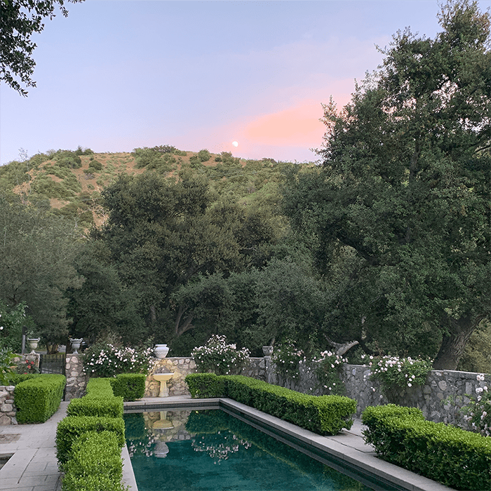 A pool surrounded by bushes and trees with a fountain.